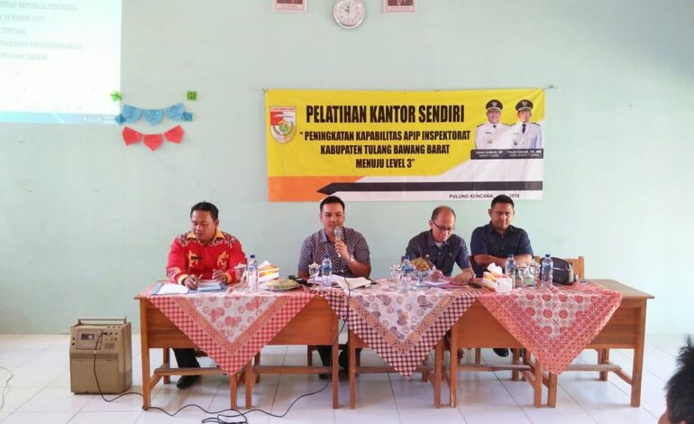  Peningkatan Kapabilitas APIP Inspektorat Kab. Tulang Bawang …