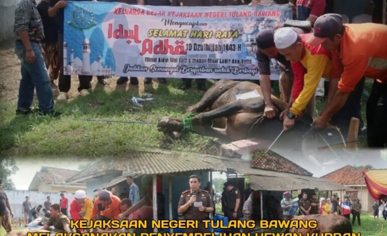  Kejaksaan Negeri Tulang Bawang Melaksanakan Penyembelihan Hewan Kurban di Hari Raya Idul Adha 1443 H